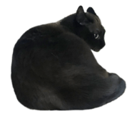 454347644