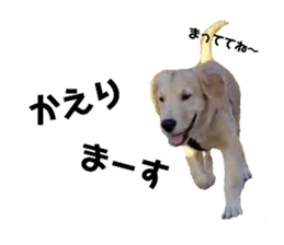 454397483