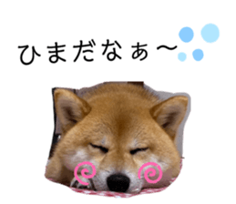454402738