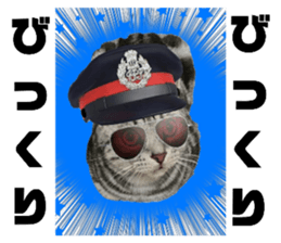 454407874