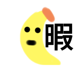 454408023