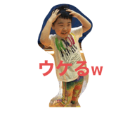 454410260