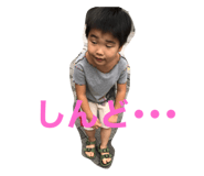 454410277