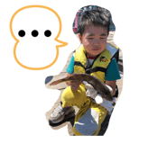 454410280