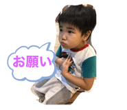 454410292