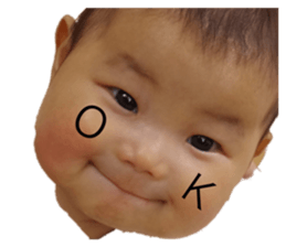 454410305