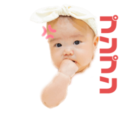454410335
