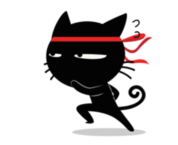 45447753