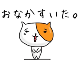 4545384