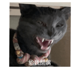 454576426
