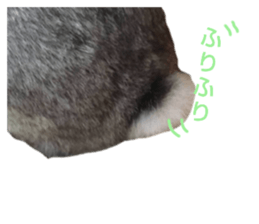 454585045