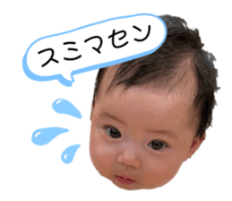 454599946