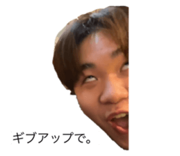 454603808