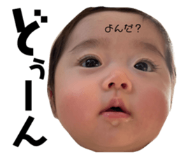 454603837