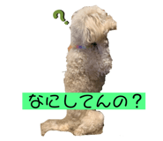 454617866