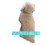 454617869