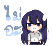 454624051