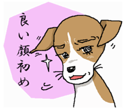454629013