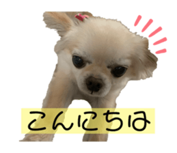 454641819