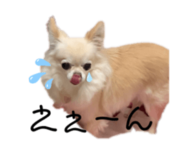 454641832