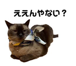 454647051
