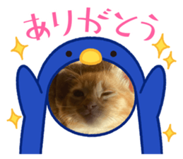 454649404