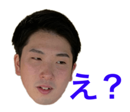454651561