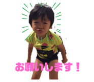 454653966
