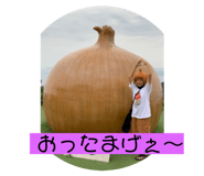 454653971