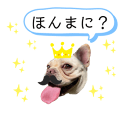 454656425