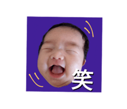 454656503