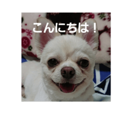 454660918