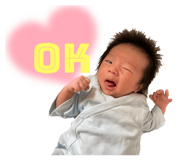 454666098