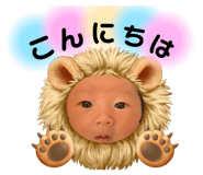 454666099