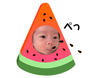 454666108