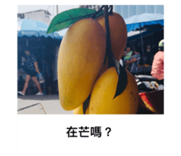 454684508