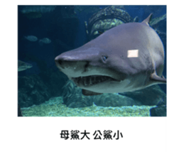 454684538
