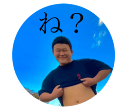 454799447