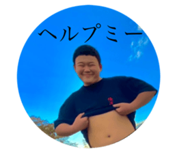 454799449