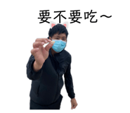 454804062