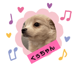 454823737