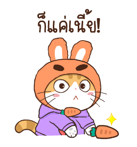 สอยดาว รุ่น 3 (แมวนิยม) รูปที่ 2