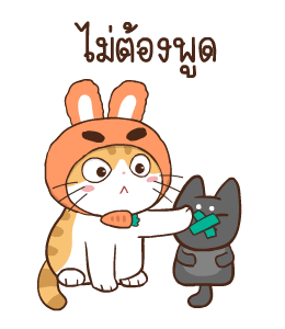 สอยดาว รุ่น 3 (แมวนิยม) รูปที่ 4