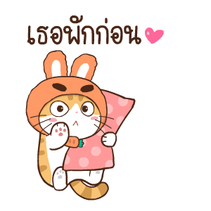 สอยดาว รุ่น 3 (แมวนิยม) รูปที่ 5