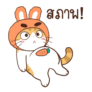 สอยดาว รุ่น 3 (แมวนิยม) รูปที่ 6