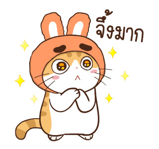 สอยดาว รุ่น 3 (แมวนิยม) รูปที่ 8
