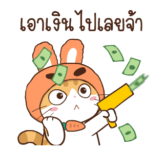 สอยดาว รุ่น 3 (แมวนิยม) รูปที่ 9