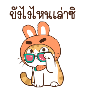 สอยดาว รุ่น 3 (แมวนิยม) รูปที่ 12