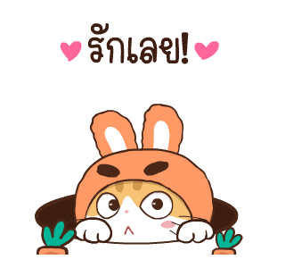 สอยดาว รุ่น 3 (แมวนิยม) รูปที่ 14