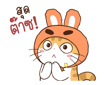 สอยดาว รุ่น 3 (แมวนิยม) รูปที่ 19
